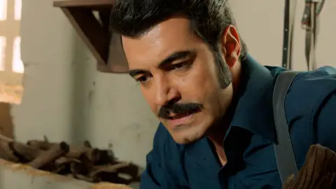 PalizaDemir PalizaDemir