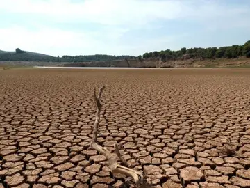 Las consecuencias de la desertificación y la sequía que ya empezamos a ver Las consecuencias de la desertificación y la sequía que ya empezamos a ver