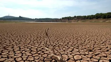 Las consecuencias de la desertificación y la sequía que ya empezamos a ver Las consecuencias de la desertificación y la sequía que ya empezamos a ver