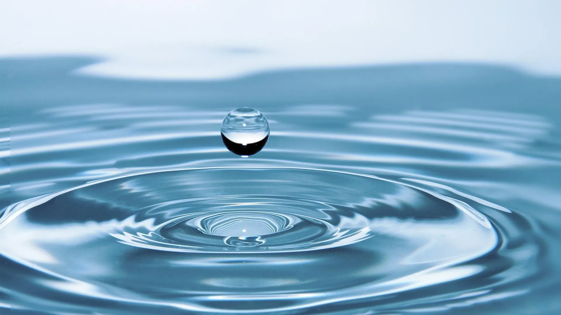 Agua Agua