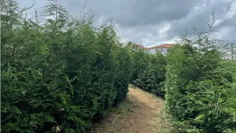 Así es el laberinto más grande de España, inaugurado en la provincia de A Coruña Así es el laberinto más grande de España, inaugurado en la provincia de A Coruña