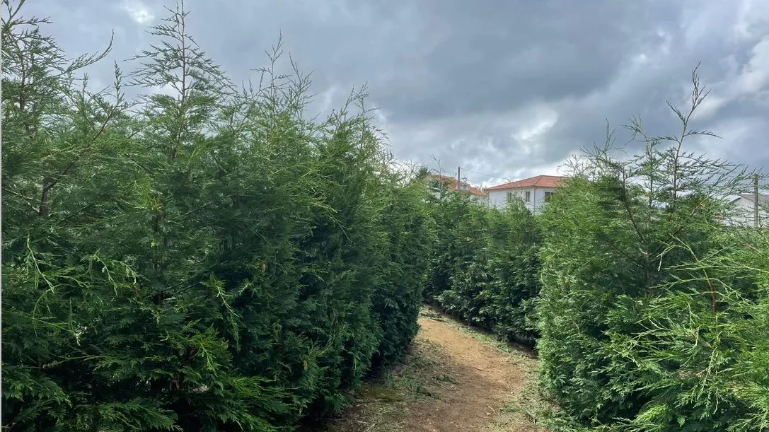 As&iacute; es el laberinto m&aacute;s grande de Espa&ntilde;a, inaugurado en la provincia de A Coru&ntilde;a