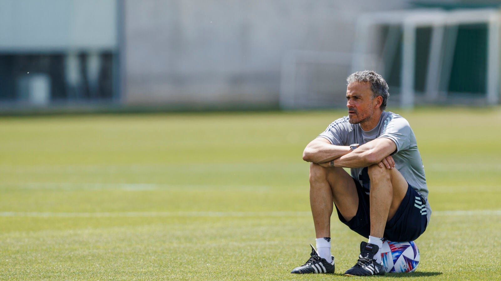 Luis Enrique: 