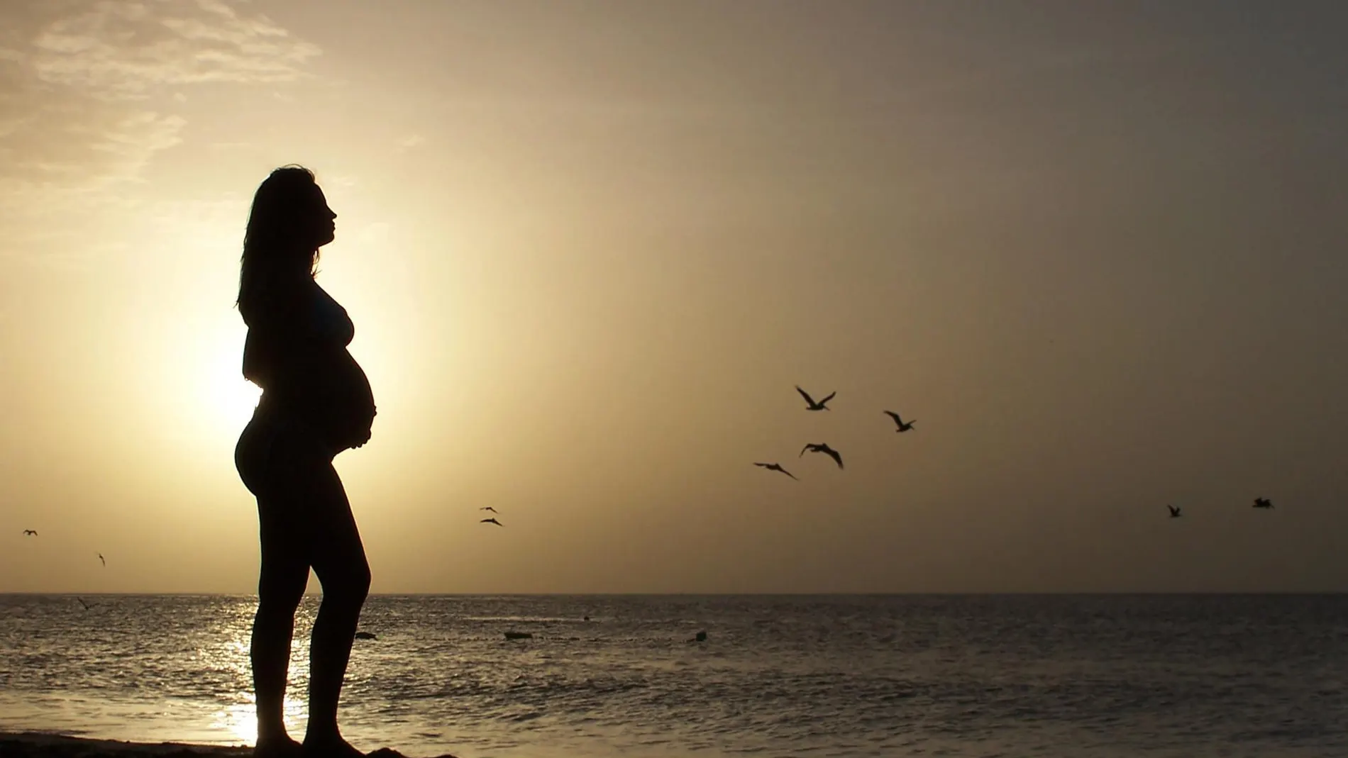 Una mujer embarazada en la orilla del mar