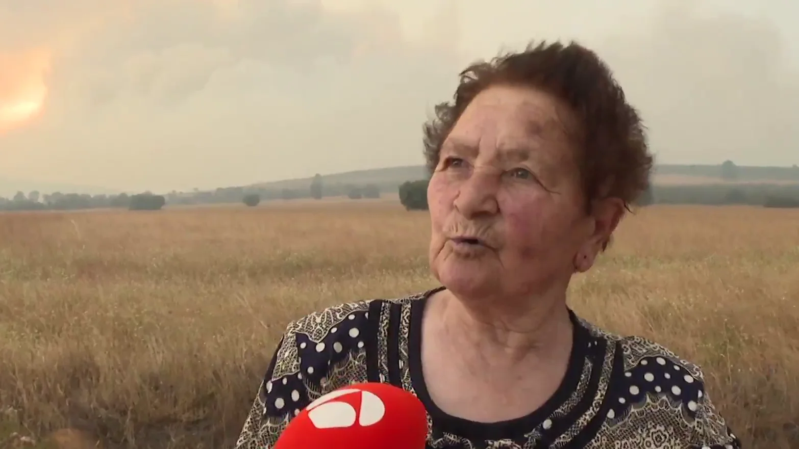 El incendio forestal de Zamora desata el peor infierno El incendio forestal de Zamora desata el peor infierno
