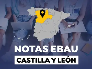 Notas EBAU Castilla y León 2022: Resultados de la selectividad Notas EBAU Castilla y León 2022: Resultados de la selectividad