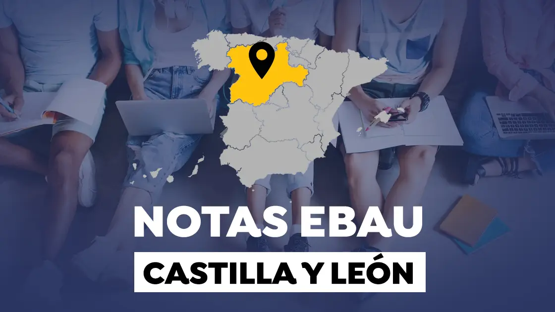 Notas EBAU Castilla y Le&oacute;n 2022: Resultados de la selectividad