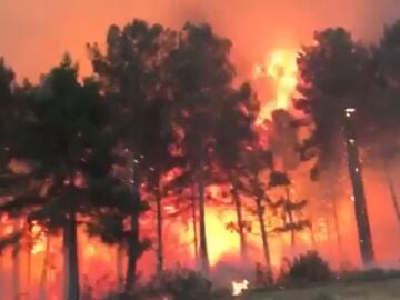 Incendio en la Sierra de la Culebra, Zamora