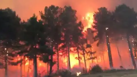 Incendio en la Sierra de la Culebra, Zamora Incendio en la Sierra de la Culebra, Zamora