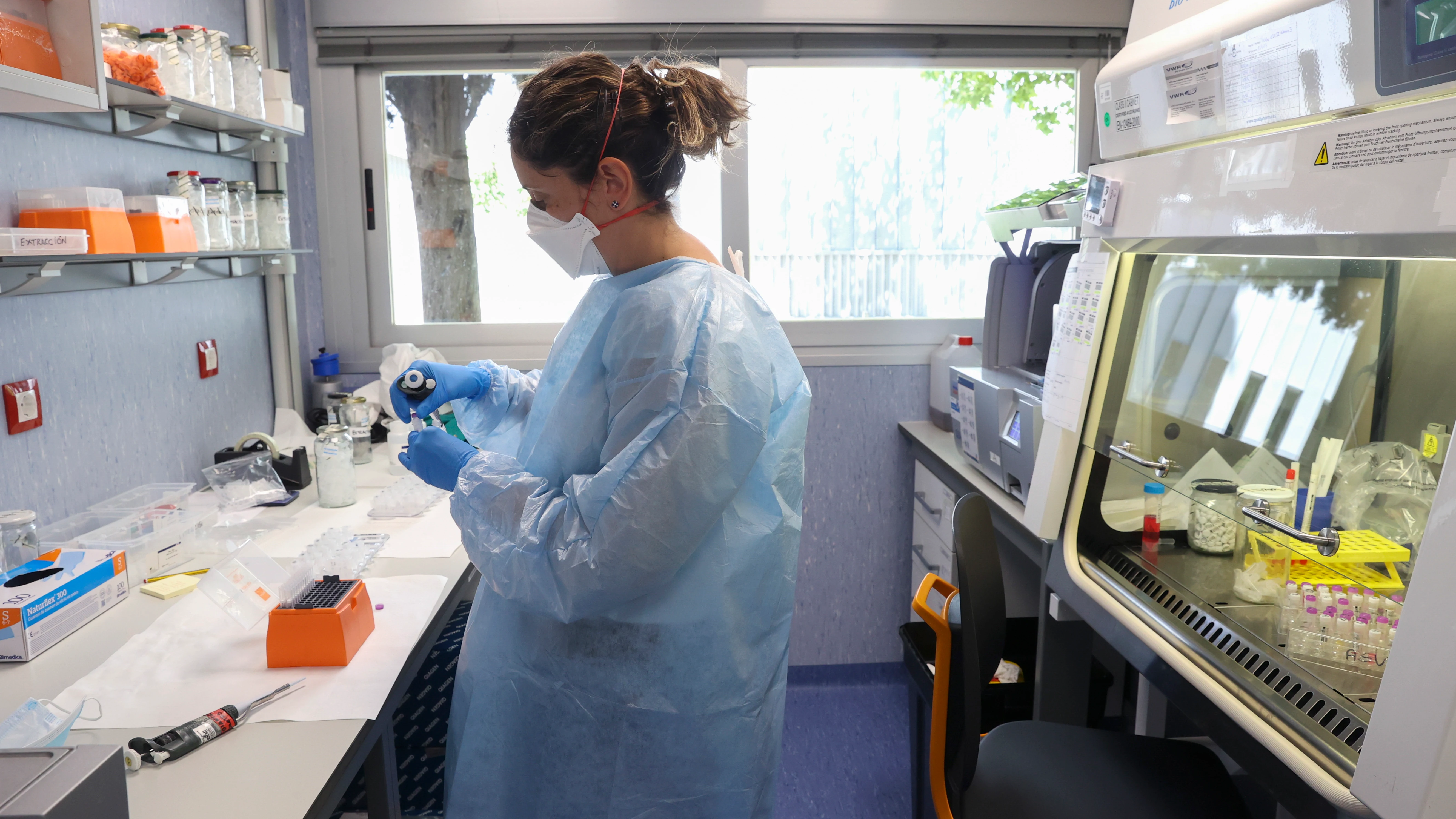 La OMS asegura que el riesgo de contagio por la viruela del mono es moderado La OMS asegura que el riesgo de contagio por la viruela del mono es moderado