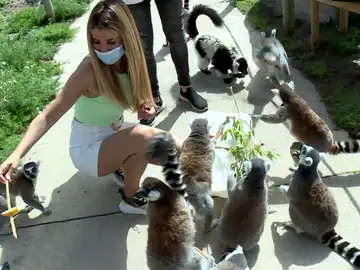 Natalia Rodríguez en una entrevista en Mundo Brasero Natalia Rodríguez en una entrevista en Mundo Brasero