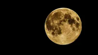 Luna llena Luna llena