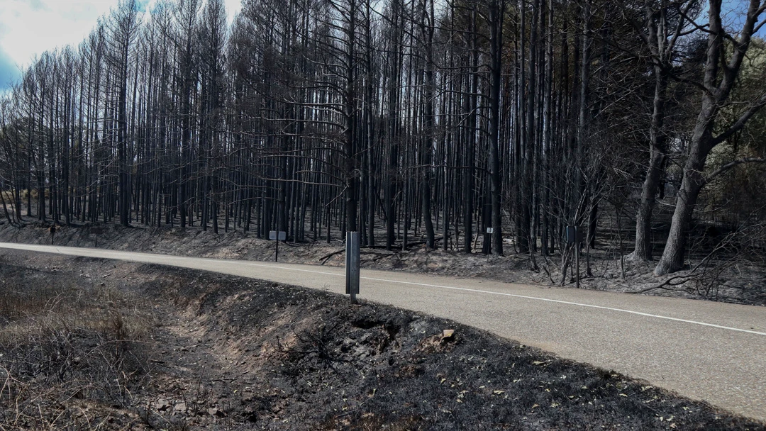 Incendio Sierra de la Culebra