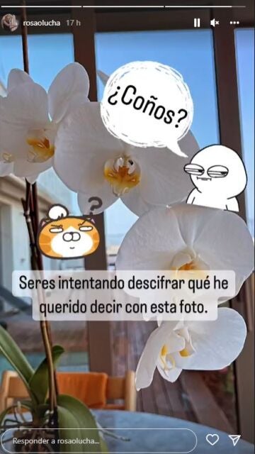 Stories de Rosa Olucha