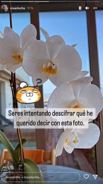 Stories de Rosa Olucha