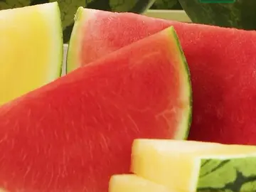 ¿Sabías que la sandía Bouquet fue la primera sin pepitas en España y Europa? ¿Sabías que la sandía Bouquet fue la primera sin pepitas en España y Europa?