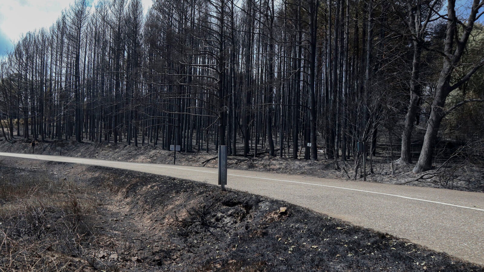¿Qué falló en el protocolo para que el incendio de Zamora fuera tan devastador?