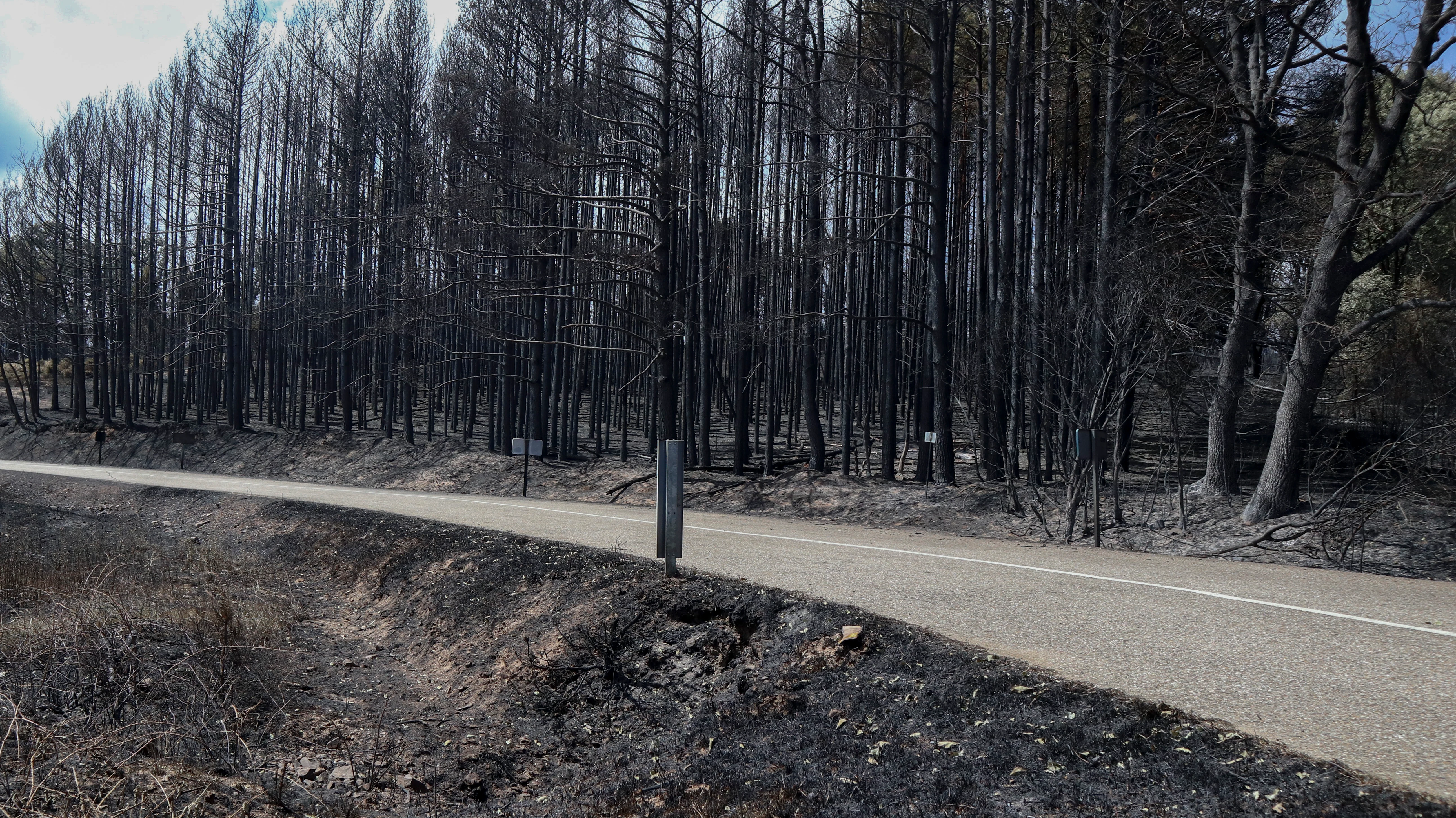 Incendio de Zamora