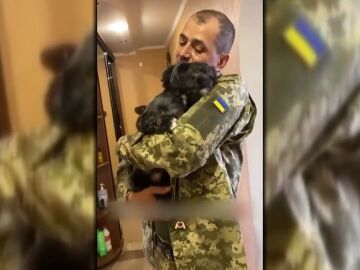 Perro alegría Ucrania