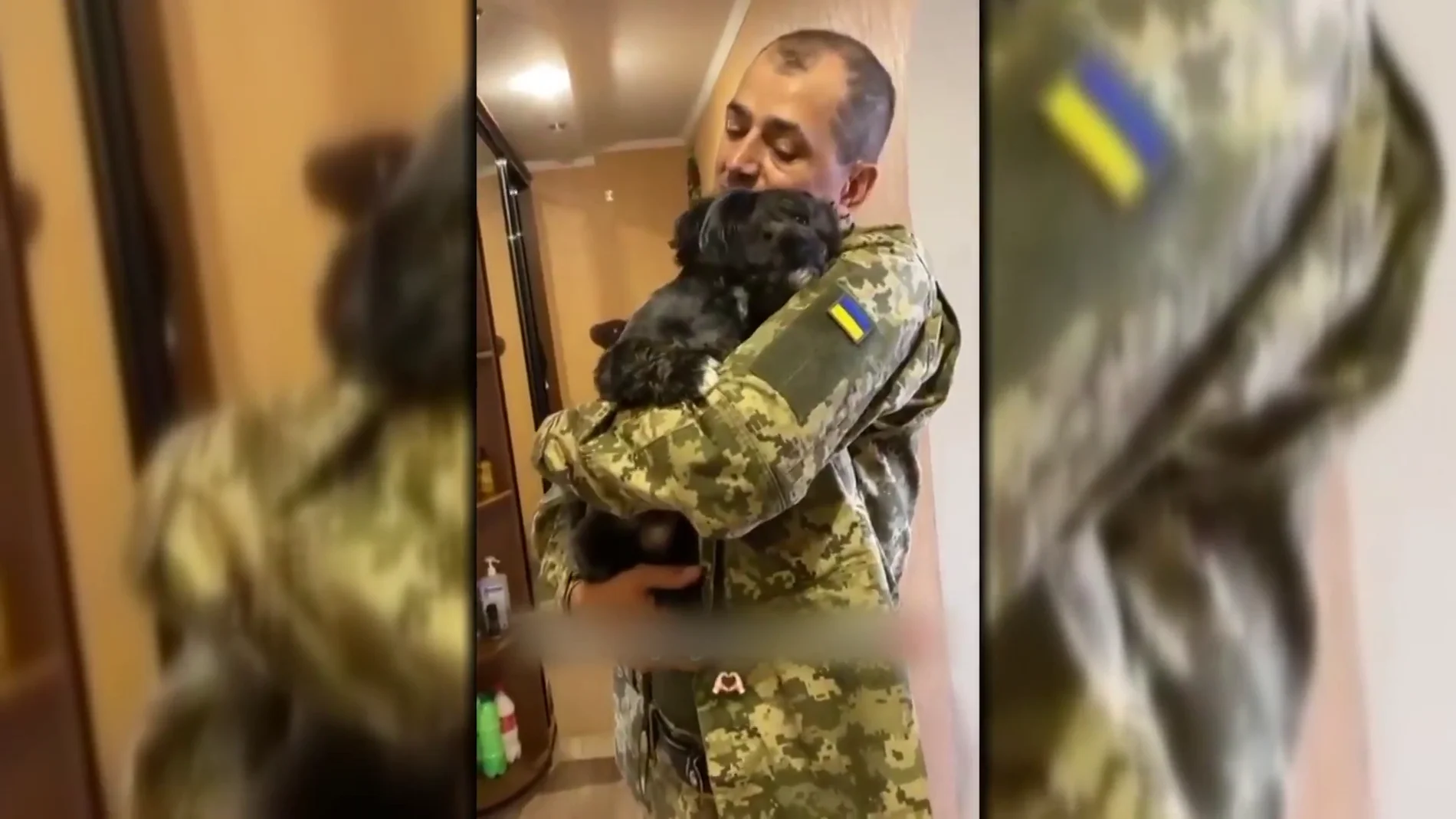Perro alegría Ucrania