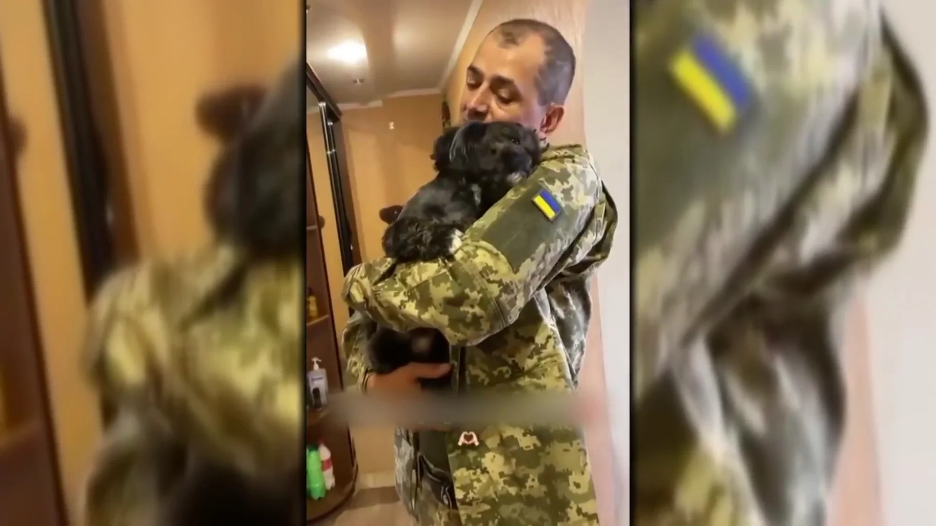 Perro alegr&iacute;a Ucrania