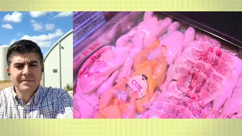 Alexis, criador de pollos Alexis, criador de pollos