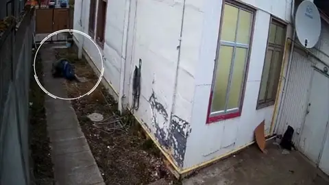 Huye de un prostíbulo sin pagar Huye de un prostíbulo sin pagar