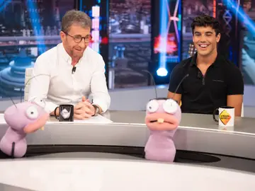 Hormigas El Hormiguero Hormigas El Hormiguero