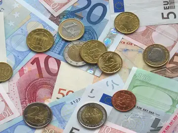 La ayuda se abonará en un pago único de 100 euros mediante transferencia bancaria La ayuda se abonará en un pago único de 100 euros mediante transferencia bancaria