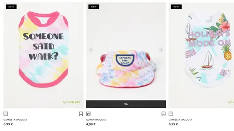 Gorra y camiseta para perro Gorra y camiseta para perro