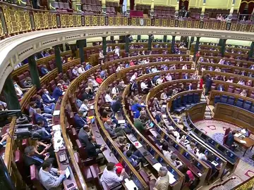 El Congreso de los Diputados El Congreso de los Diputados