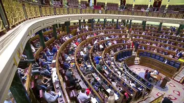 El Congreso de los Diputados El Congreso de los Diputados