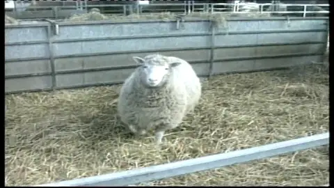 Efemérides de hoy 5 de julio de 2022: ¿Qué pasó el 5 de julio? Efemérides de hoy 5 de julio de 2022: ¿Qué pasó el 5 de julio?