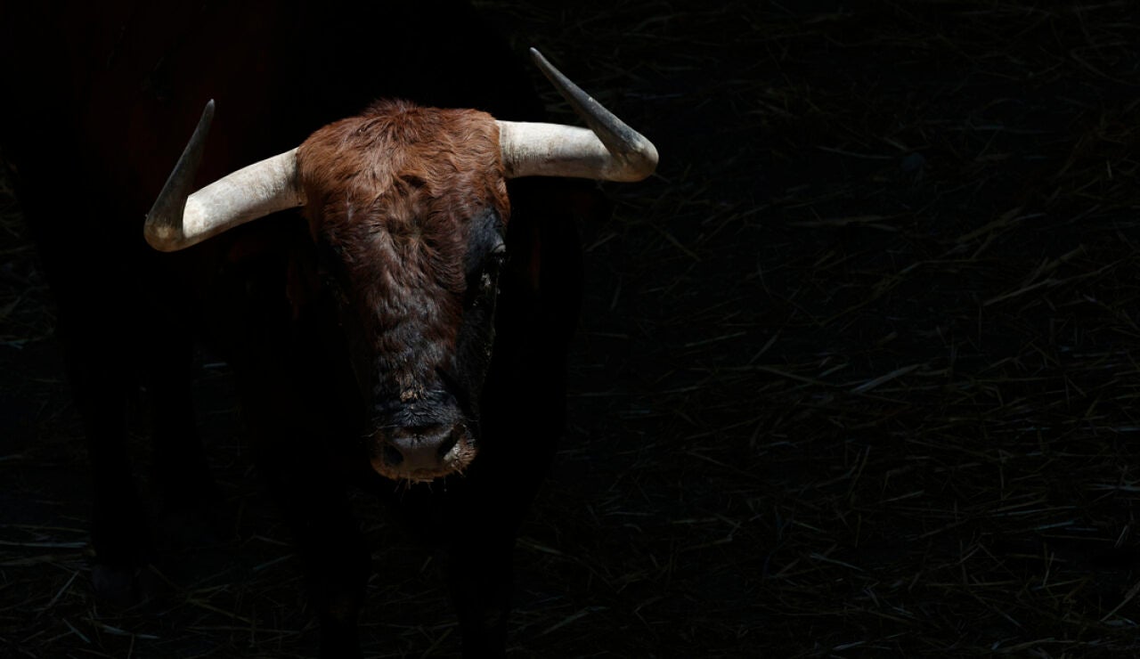 San Fermín 2022: Entradas de la Feria del Toro, calendario y toreros