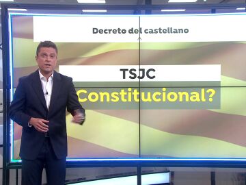 TSJ decreto "incostitucional"