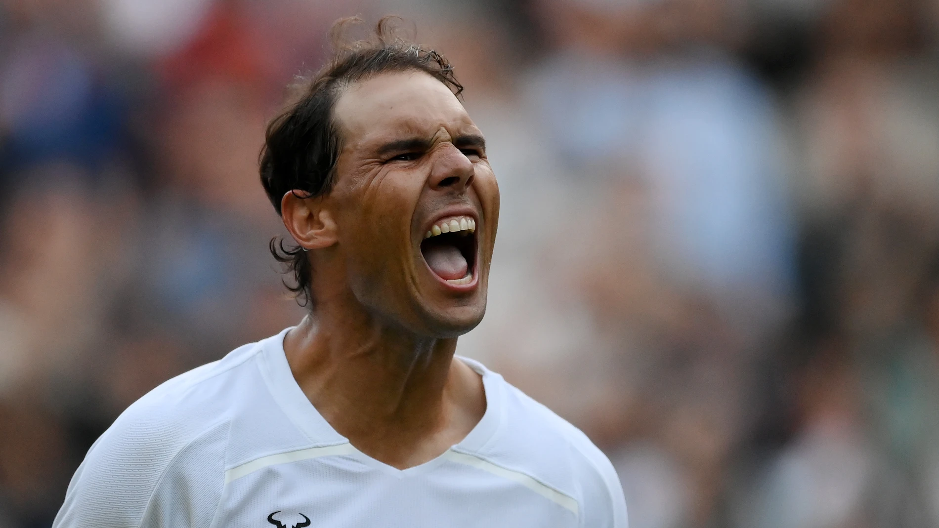 Rafa Nadal - Botic van de Zandschulp: Campeonato de Wimbledon, en directo