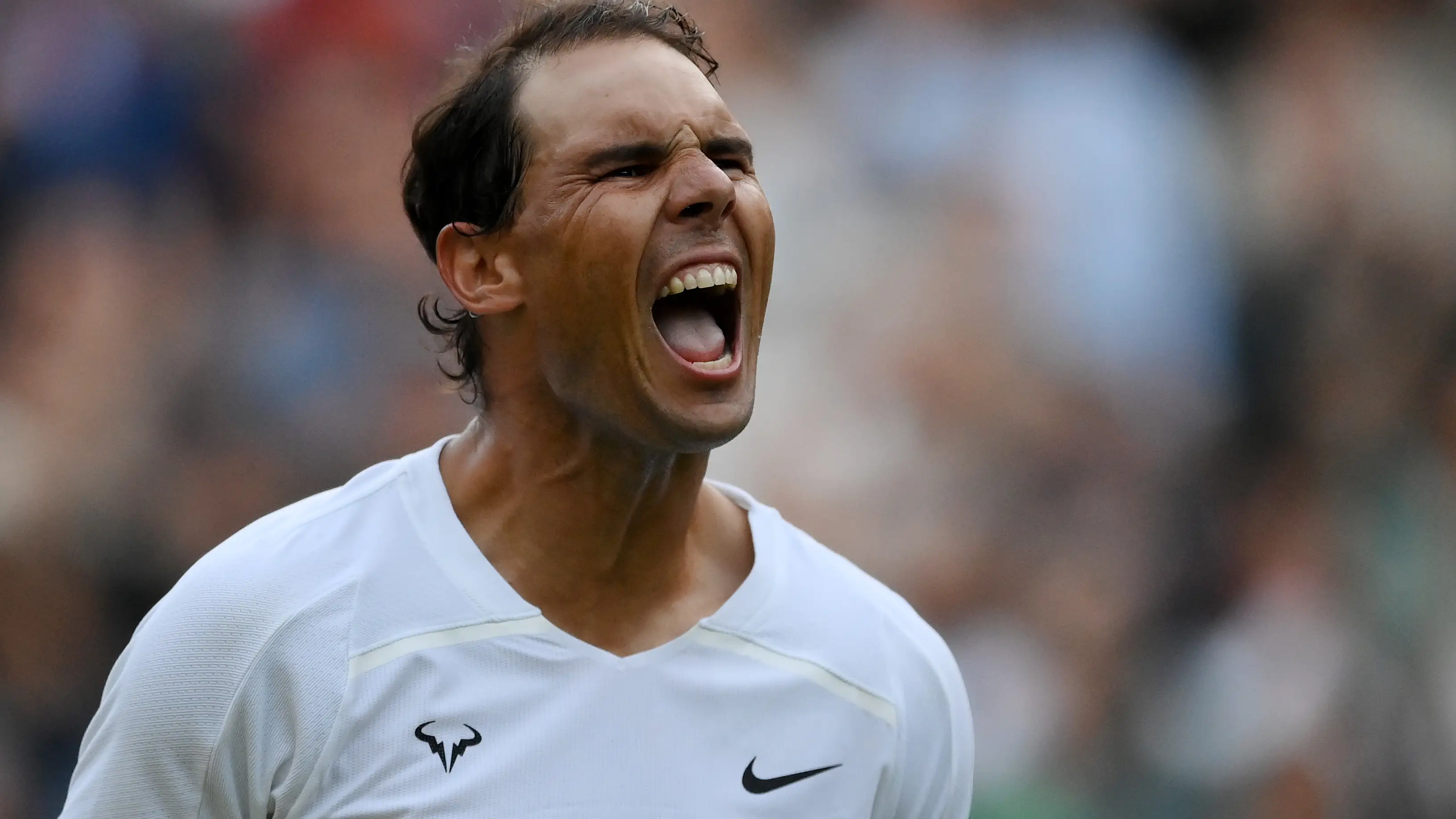 Rafa Nadal - Botic van de Zandschulp: Campeonato de Wimbledon, en directo