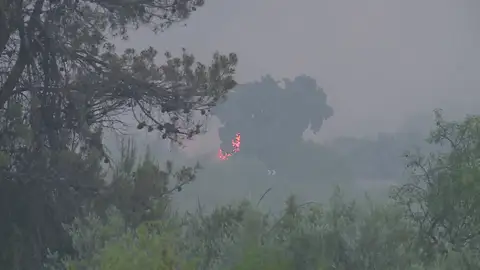 Incendio en Venta del Moro (Valencia) Incendio Valencia