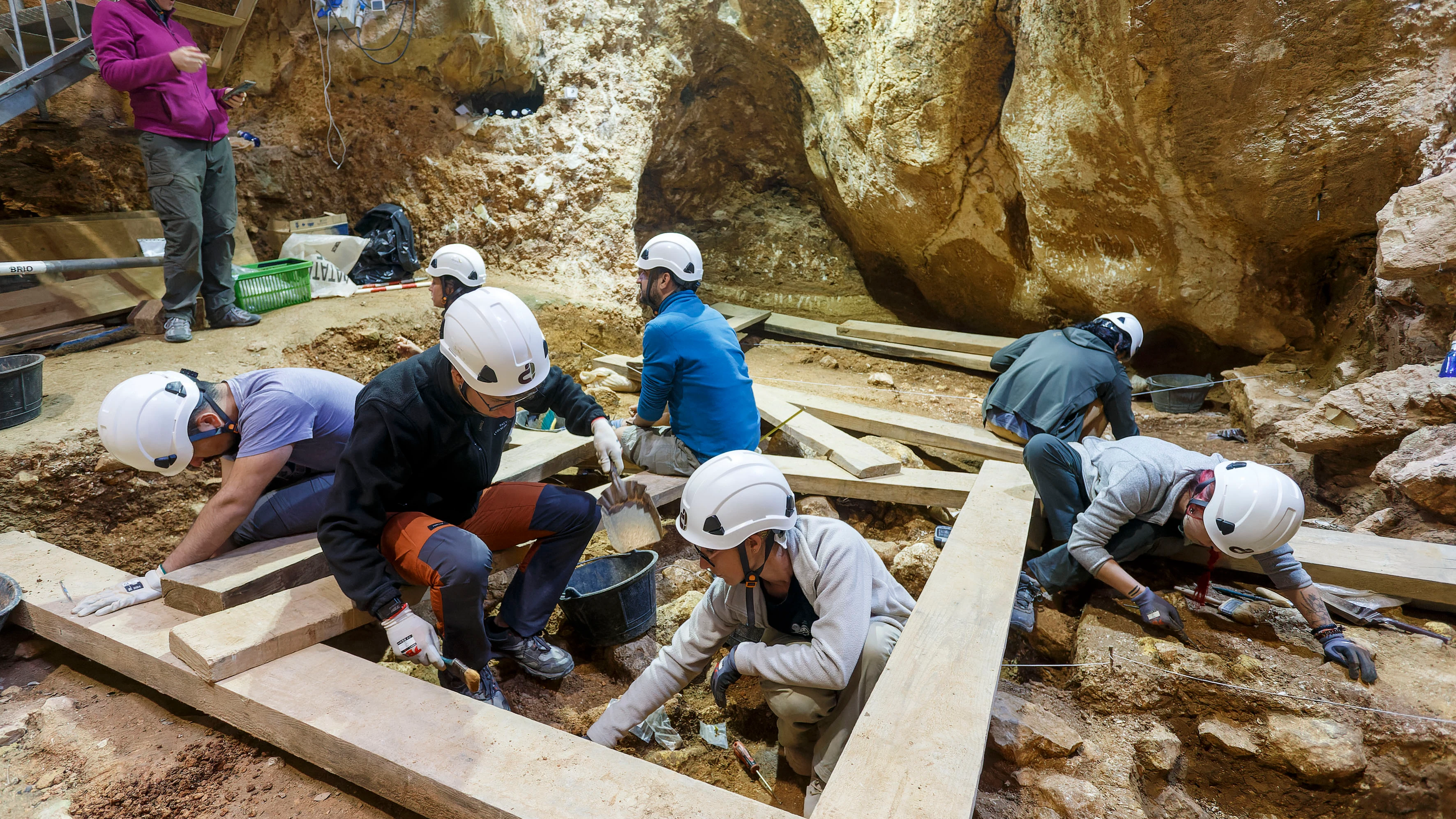 Archivo de excavaciones en Atapuerca desde 1978 Archivo de excavaciones en Atapuerca desde 1978
