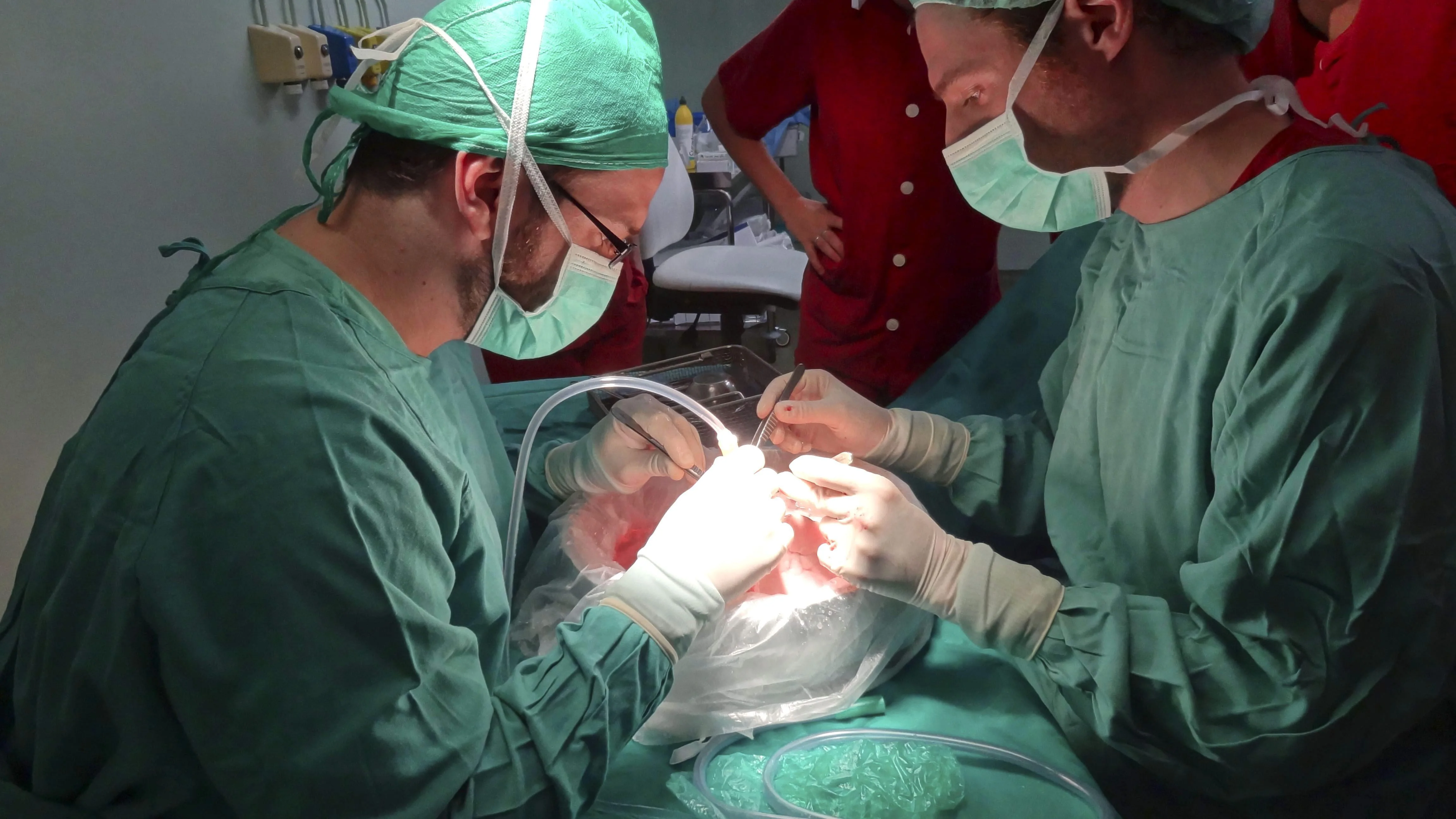 Las listas de espera en la sanidad española Las listas de espera en la sanidad española
