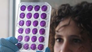 C&oacute;mo evolucionan las nuevas variantes de covid d&iacute;a a d&iacute;a en el organismo