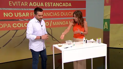 El truco definitivo para evitar las molestas picaduras de mosquitos en verano El truco definitivo para evitar las molestas picaduras de mosquitos en verano