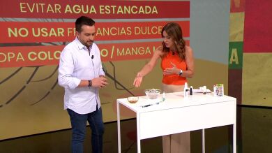 El truco definitivo para evitar las molestas picaduras de mosquitos en verano