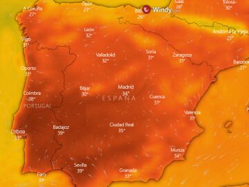 Mapa interactivo de calor