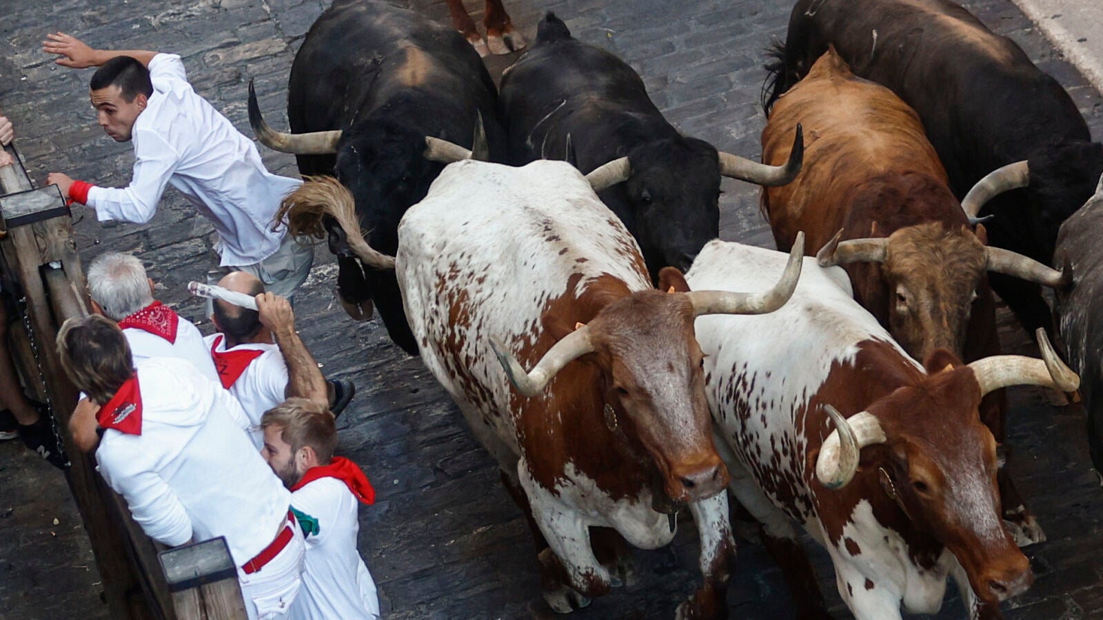 Los toros de La Palmosilla protagonizan un veloz cuarto encierro de San Fermín sin heridos por asta