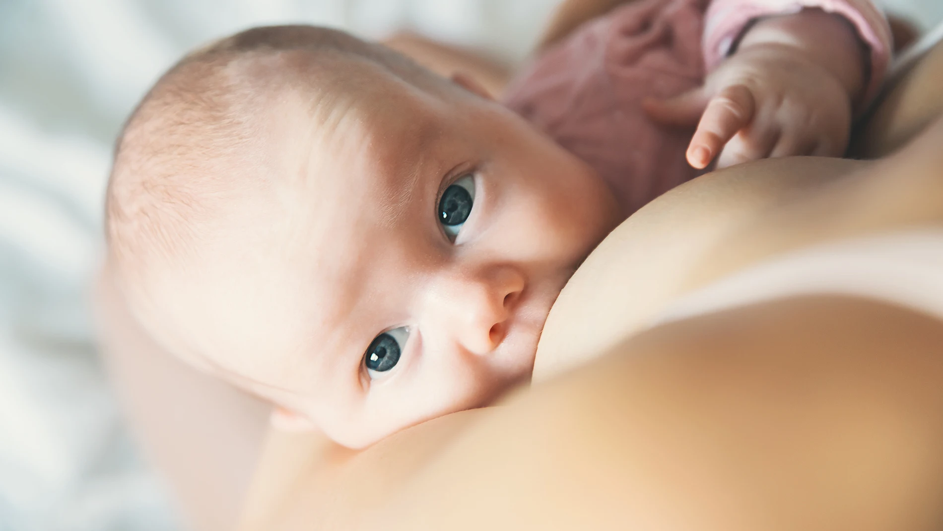 La Semana Mundial de la Lactancia Materna 2022 se celebra la primera semana  de agosto