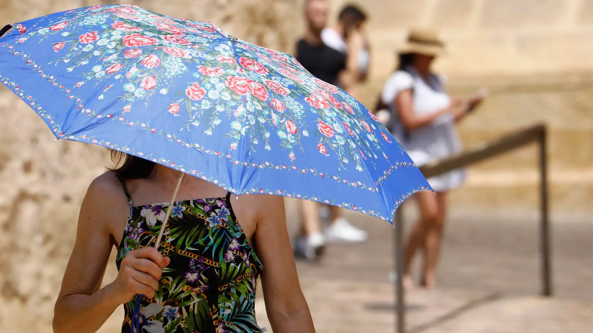 La ola de calor está provocando problemas de salud en España.
