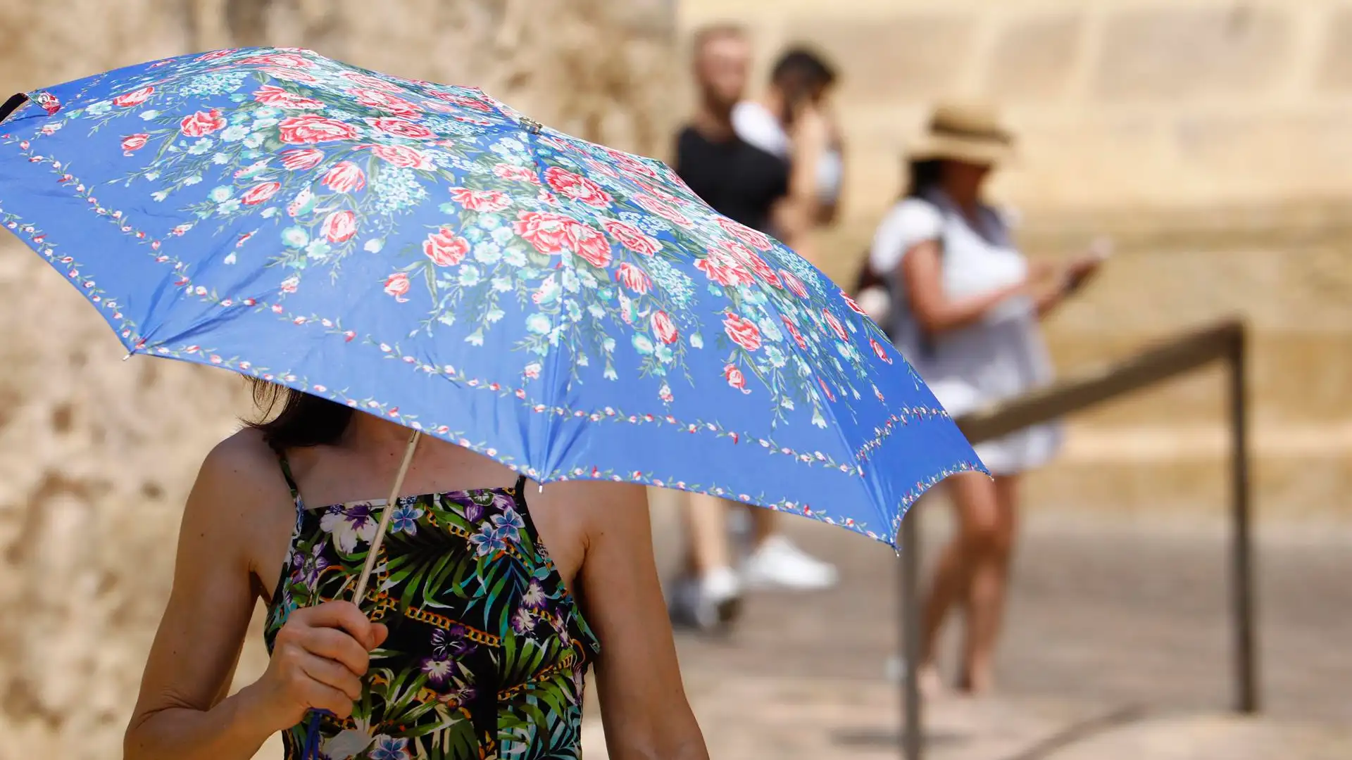 La ola de calor est&aacute; provocando problemas de salud en Espa&ntilde;a.