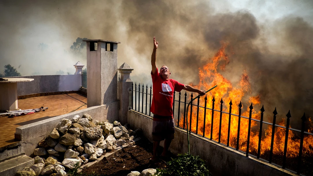 Incendio forestal Incendio forestal