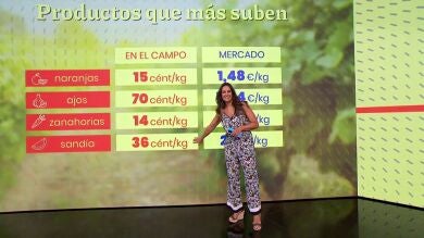 Los agricultores, al límite ante la subida de los precios: 